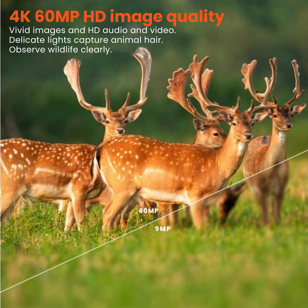 4K Ultra HD Wildlife Camera – 60MP with App Control